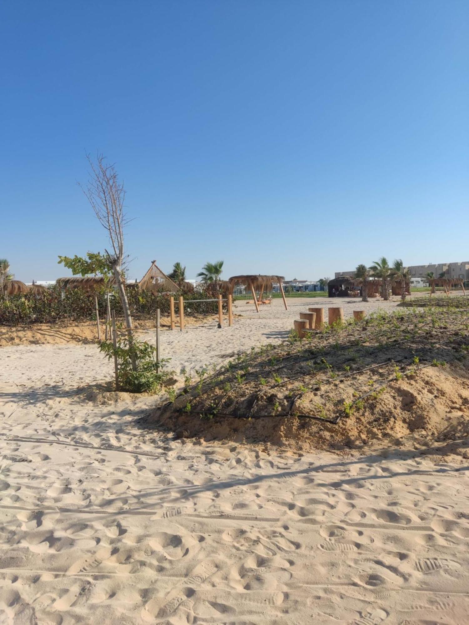 Hotel D-Bay North Coast Zawiyat 'abd al Mun'im Zewnętrze zdjęcie